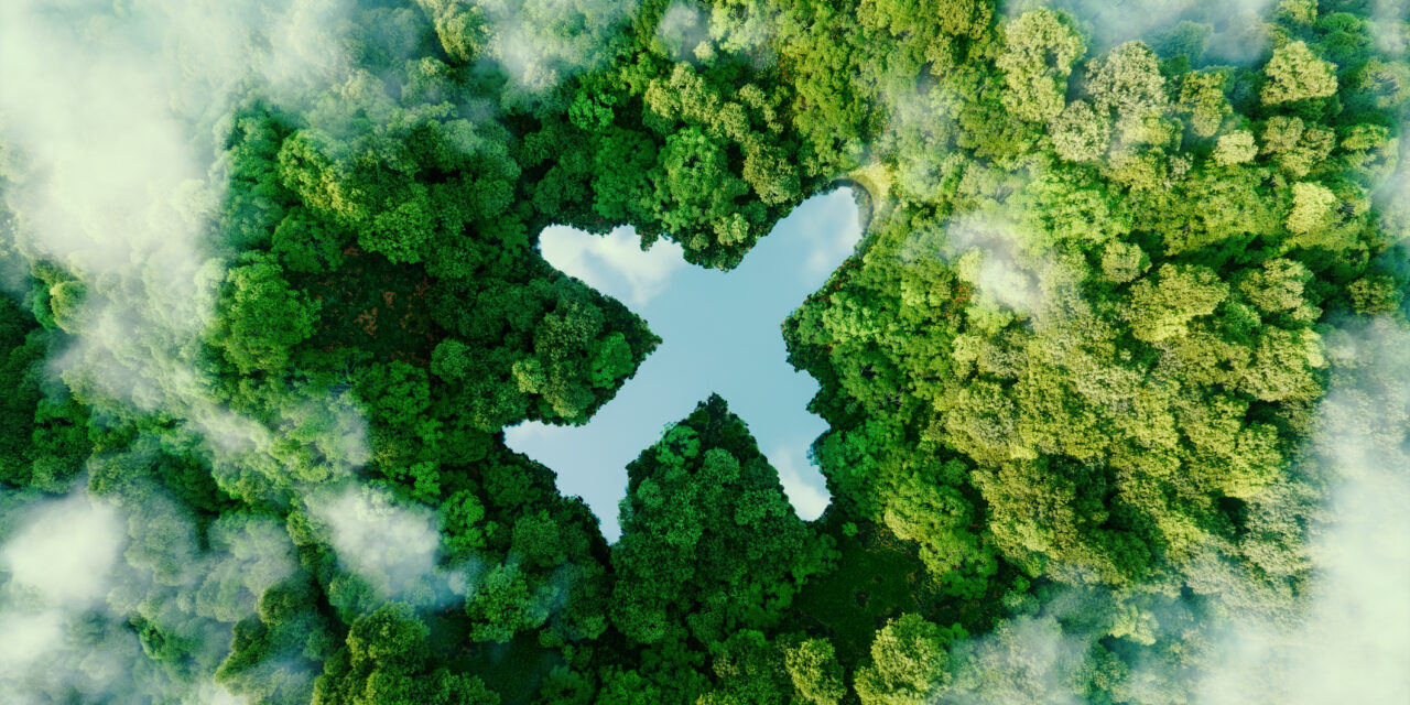 EU Takes Action Against Airlines’ Greenwashing